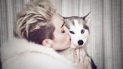 Dogs cut Actress miley cyrus singers short hair