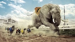 Dogs funny elephants fun races Photo manipulation