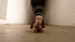 Dogs funny toys (children)