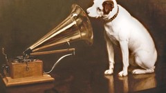 Dogs gramophone hmv