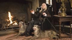 Dogs harry potter Jason