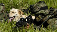Dogs Helicopters Army soldiers special forces colombia Marines 