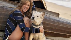 Dogs jennifer aniston legs