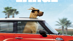 Dogs Movie posters