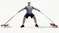 Dogs Poland funny muscles Polish Mariusz Pudzianowski