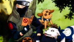Dogs reading naruto shippuden
