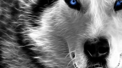 Dogs selective coloring Wolves