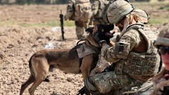 Dogs soldiers military