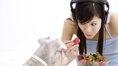 Dogs strawberries animal