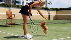 Dogs tennis blondes playing maria sharapova Russians tennis 