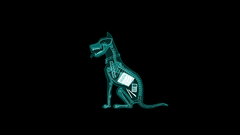 Dogs X-ray fun Art