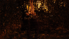 Doing The whole ghost