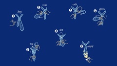 Doing Your tie right