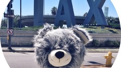 Doll Bears miley cyrus