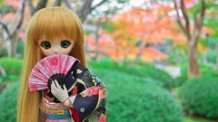 Dolls fans Japanese clothes