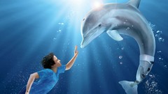 Dolphins morgan freeman movie posters