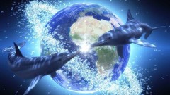 Dolphins Myself Yourself