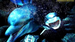 Dolphins underwater Sharks