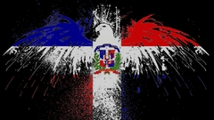 Dominican republic flag