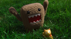 Domo