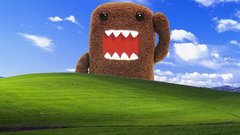 Domo