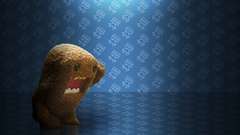Domo