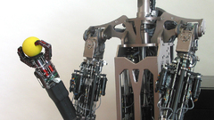 Domo yellow ball high