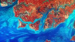 Don really value them