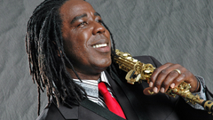 Dondiego Don diego high