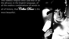 Donniedarkowp gave it shot