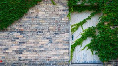 Doors ivy wall Bricks