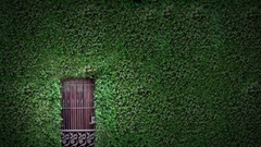 Doors vines nature houses