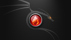 Dragon abstract fire