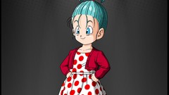 Dragon Ball Dragon Ball Z bra