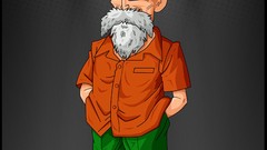 Dragon Ball Dragon Ball Z Master Roshi