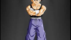 Dragon Ball Dragon Ball Z vegeta
