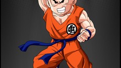 Dragon Ball Dragon Ball Z versus