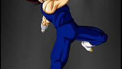 Dragon Ball Dragon Ball Z versus vegeta