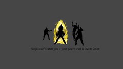 Dragon Ball Z ninjas cant catch you if