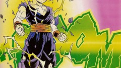 Dragon Ball Z Son Gohan