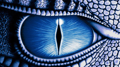Dragon eye