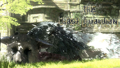 Dragon here Last The guardian mad