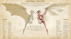 dragon infographics numbers creature anatomy