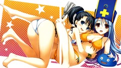 Dragon Quest tomose shunsaku