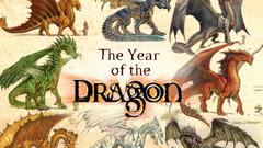 Dragon You not just amp