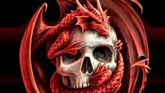Dragons 3d skulls