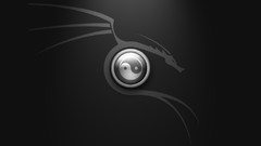 Dragons back hacking yin