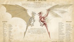 Dragons Bones muscles anatomy sceptres sceletors