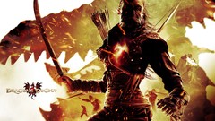 Dragons dogma Assassin