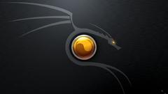 Dragons dragon logo Company